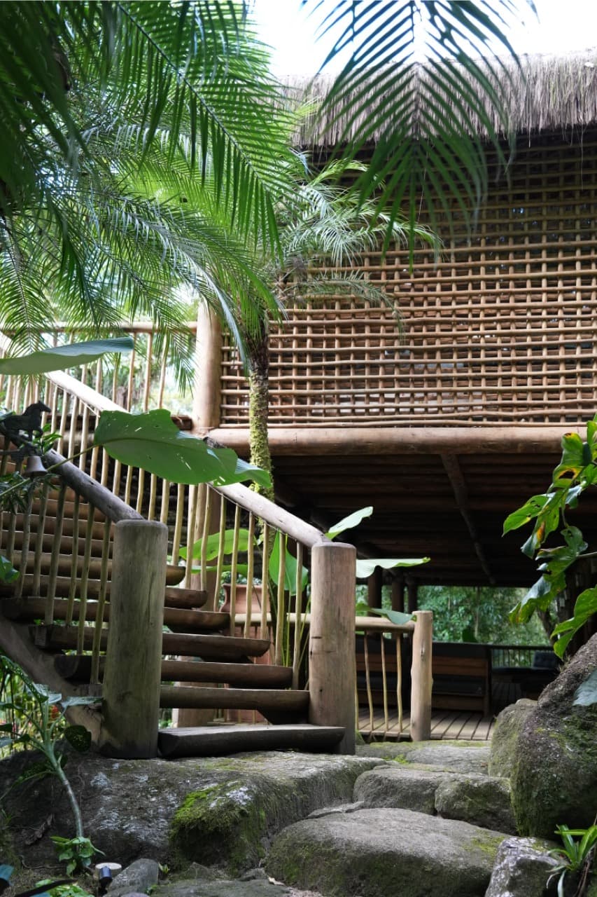 Wooden stairway up to a bamboo lodge among palms on the Nekawa campus