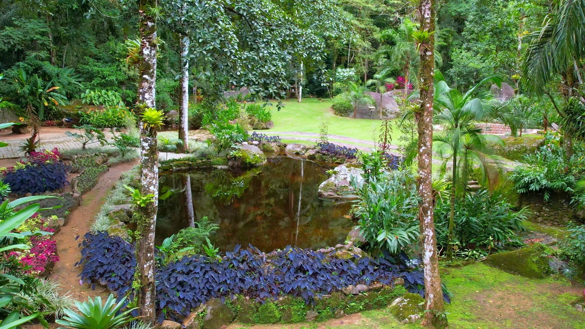 The balcony of the presidential suite at the Nekawa campus, looking out over the rainforest