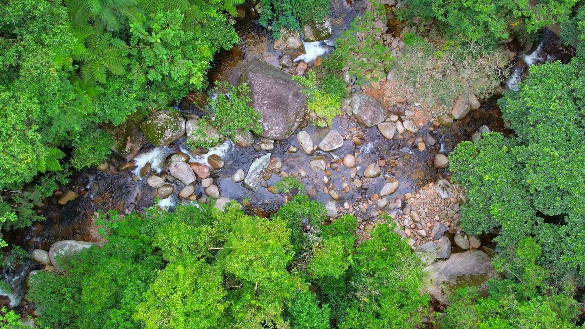 Drone view of the river running through the Nekawa campus