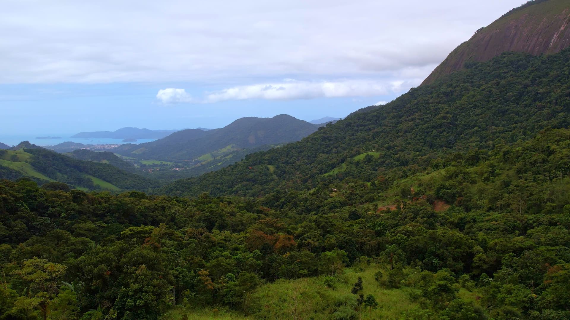 View over the forested hills surrounding the Nekawa campus
