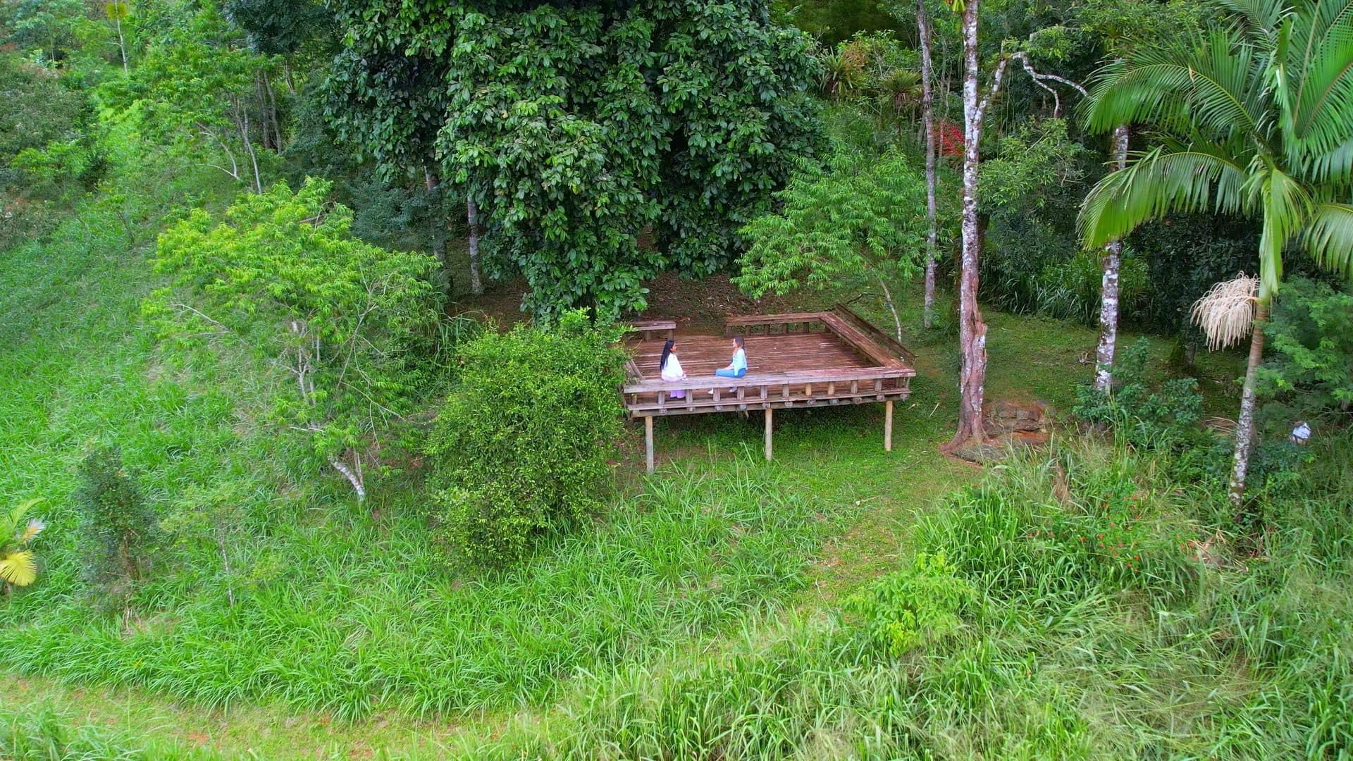 The yoga deck surrounded by jungle on the Nekawa campus