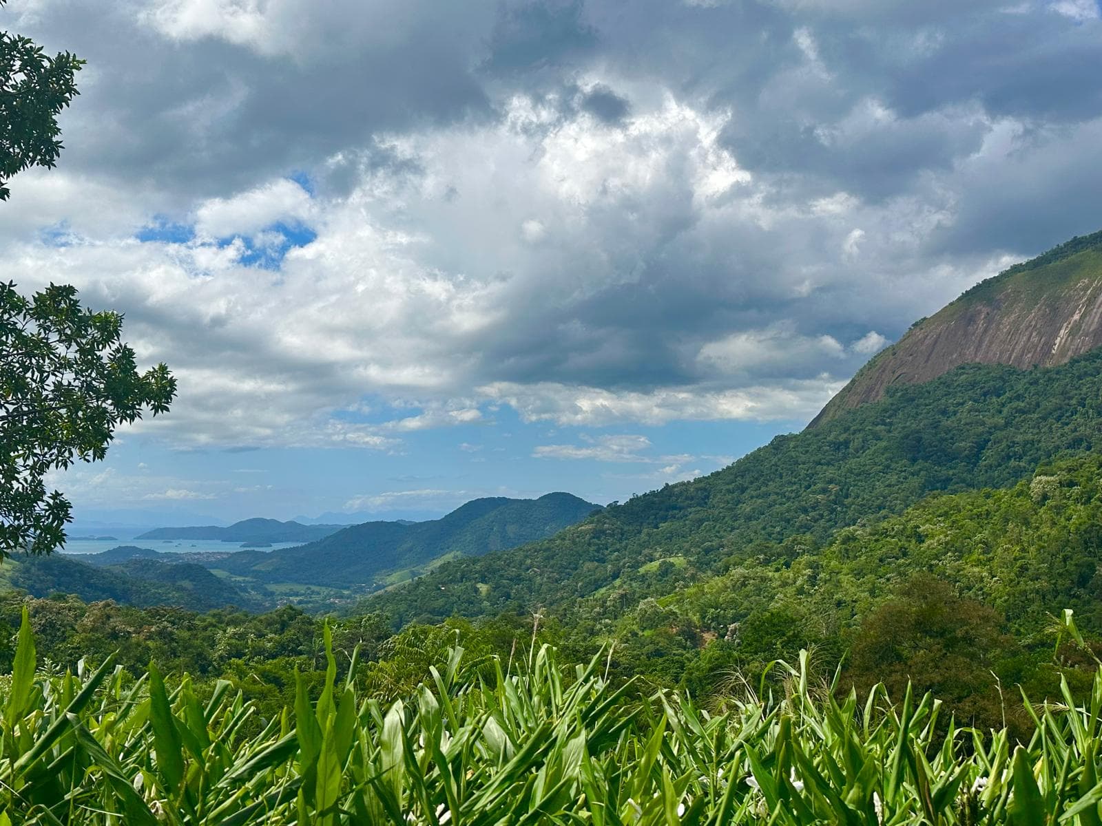 Sweeping view over the Nekawa campus and the rainforest mountains beyond