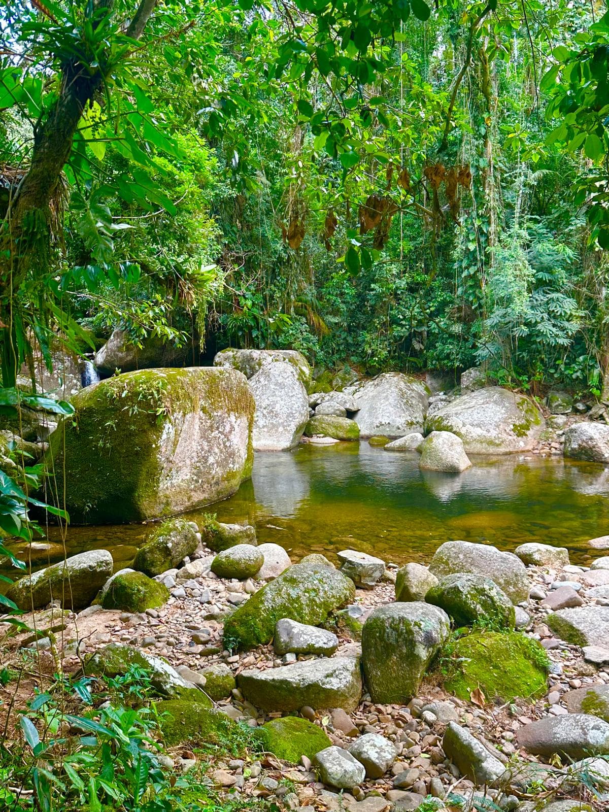 The river running through the rainforest on the Nekawa campus