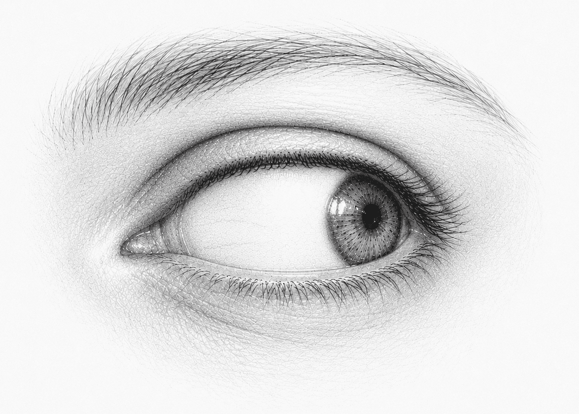 Pencil sketch of a wide, watchful eye
