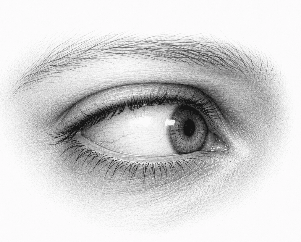 Pencil sketch of a guarded, weary eye