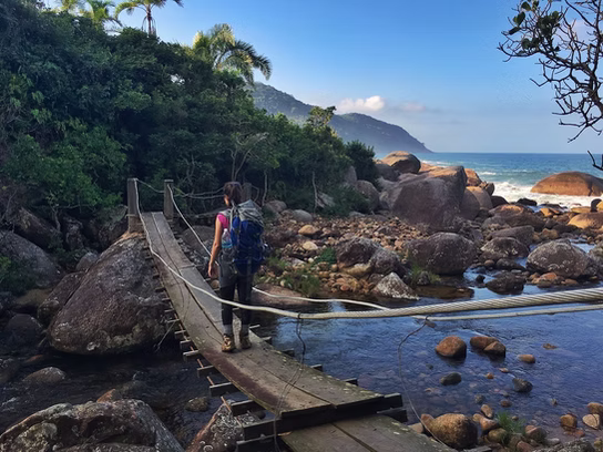 Hiking trail through the Atlantic rainforest near Paraty, Brazil