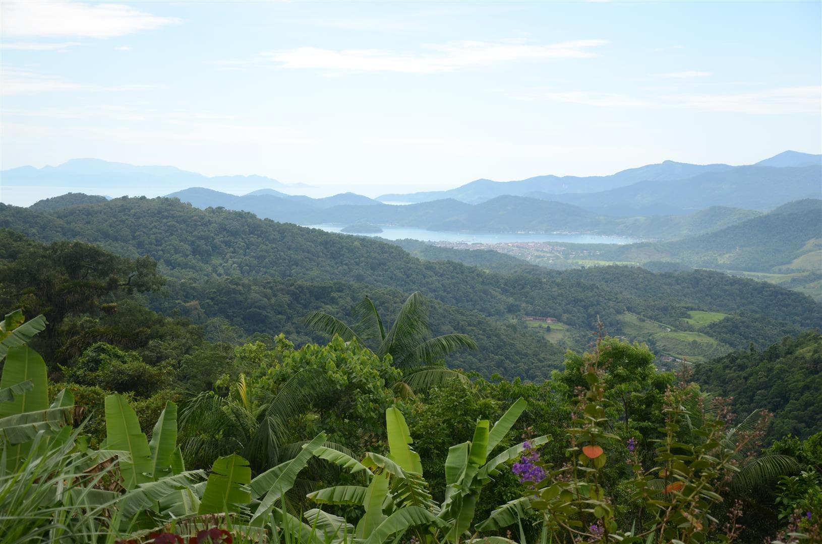 Atlantic rainforest running down to the bay at Paraty, Brazil