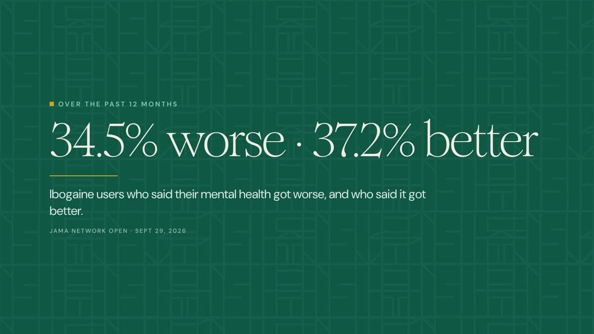 34.5% worse, 37.2% better: ibogaine users on their mental health over the past 12 months. Source: JAMA Network Open, Sept 29, 2026