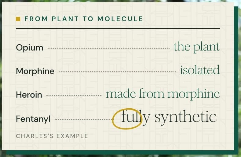 From plant to molecule: opium (the plant), morphine (isolated), heroin (made from morphine), fentanyl (fully synthetic)