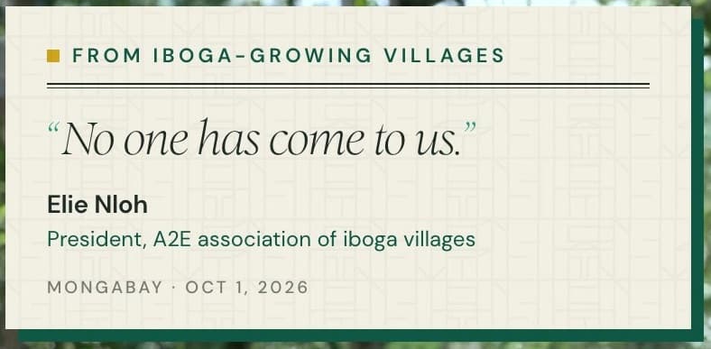 From iboga-growing villages: Elie Nloh, president of A2E, an association of iboga villages: 'No one has come to us.' Source: Mongabay