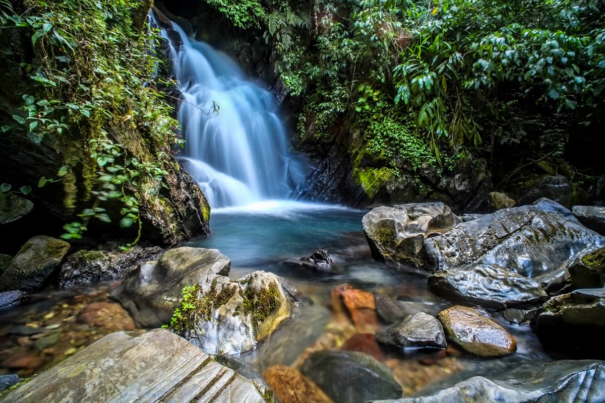 Waterfall cascading through the lush Atlantic rainforest of Costa Verde